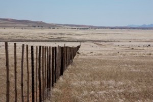 Landscapes - farm fence in South