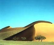 Landscapes - green Sossus dunes